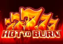 Hot To Burn Logo